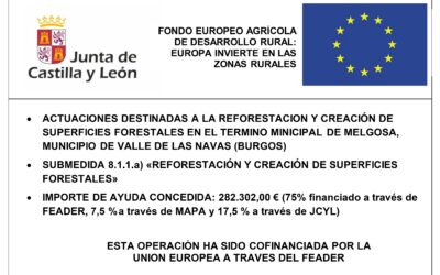 Reforestación y creación de superficies forestales en terrenos de Melgosa (Burgos)