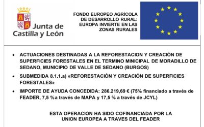 Reforestación y creación de superficies forestales en terrenos de Moradillo de Sedano (Burgos)